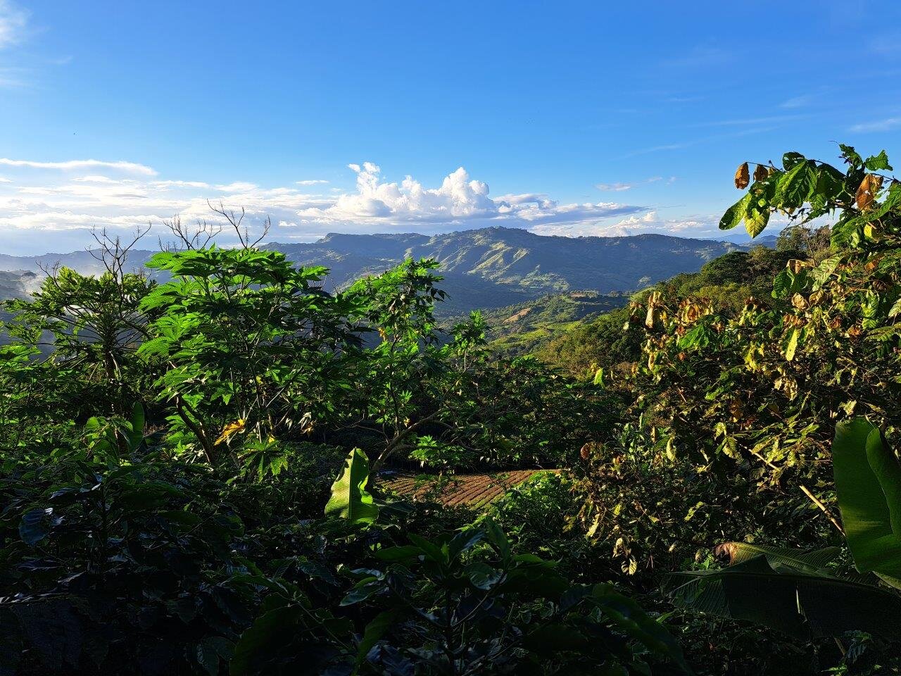 Buena Vista - tolle Aussicht