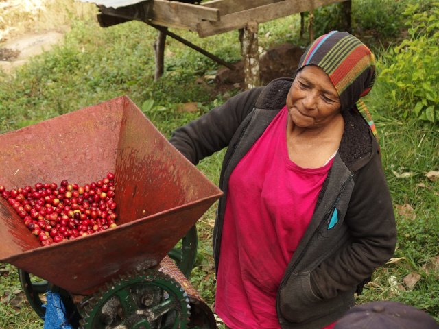 Consuelo Talavera, Café Chavalo
