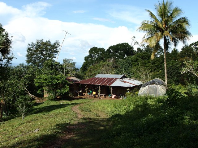 Kaffeefinca in Nicaragua, Café Chavalo