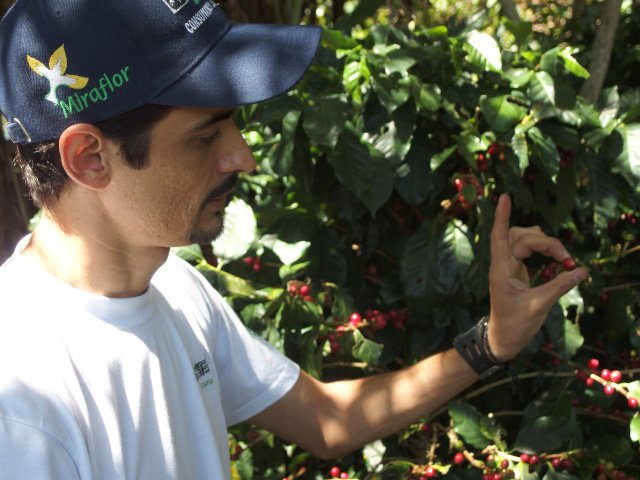 Marvin Valenzuela in Nicaragua, Café Chavalo
