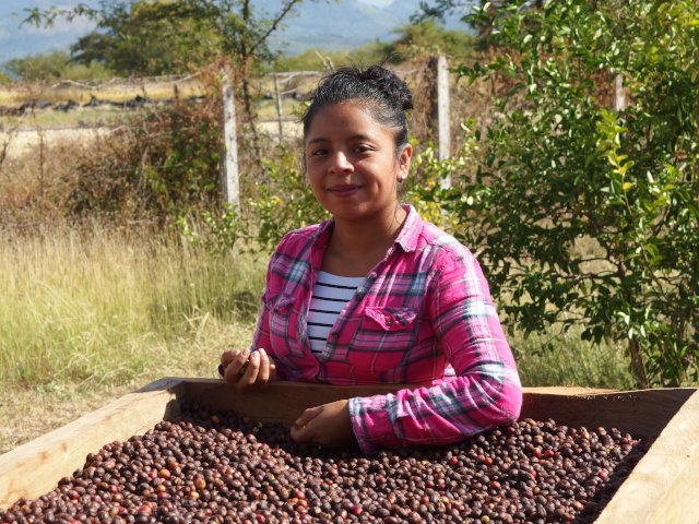 Qualitätskontrolle in Nicaragua, Café Chavalo