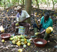 Noir-Schokolade 78% Elfenbeinküste (bio), 100g