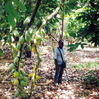 Noir-Schokolade 88% Elfenbeinküste (bio), 100g