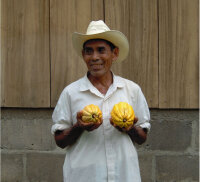 Dunkle Vollmilchschokolade, 100g